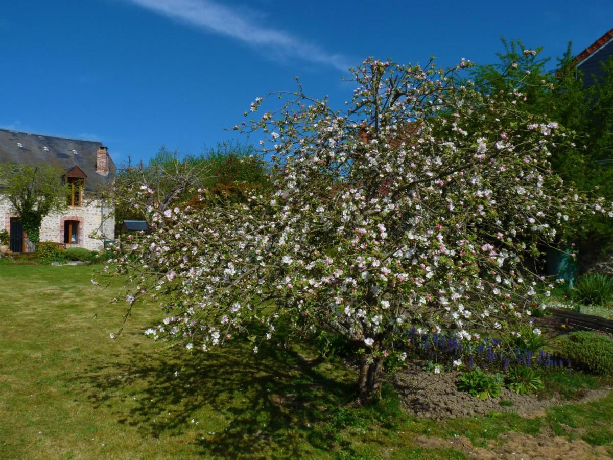 Een Prachtige Gite In Frankrijk Chez Gerard Vieilleville Zewnętrze zdjęcie